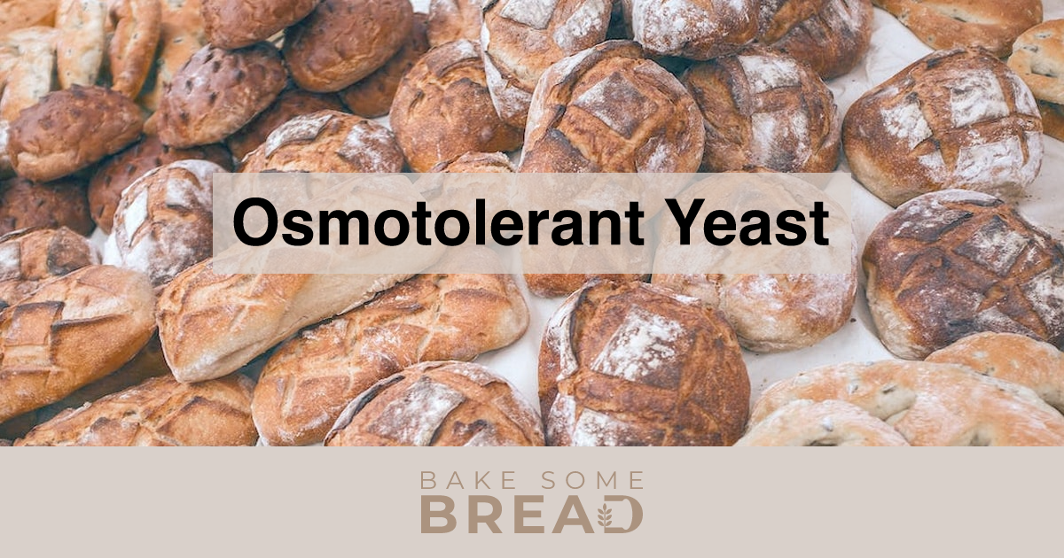 Osmotolerant Yeast - BakeSomeBread